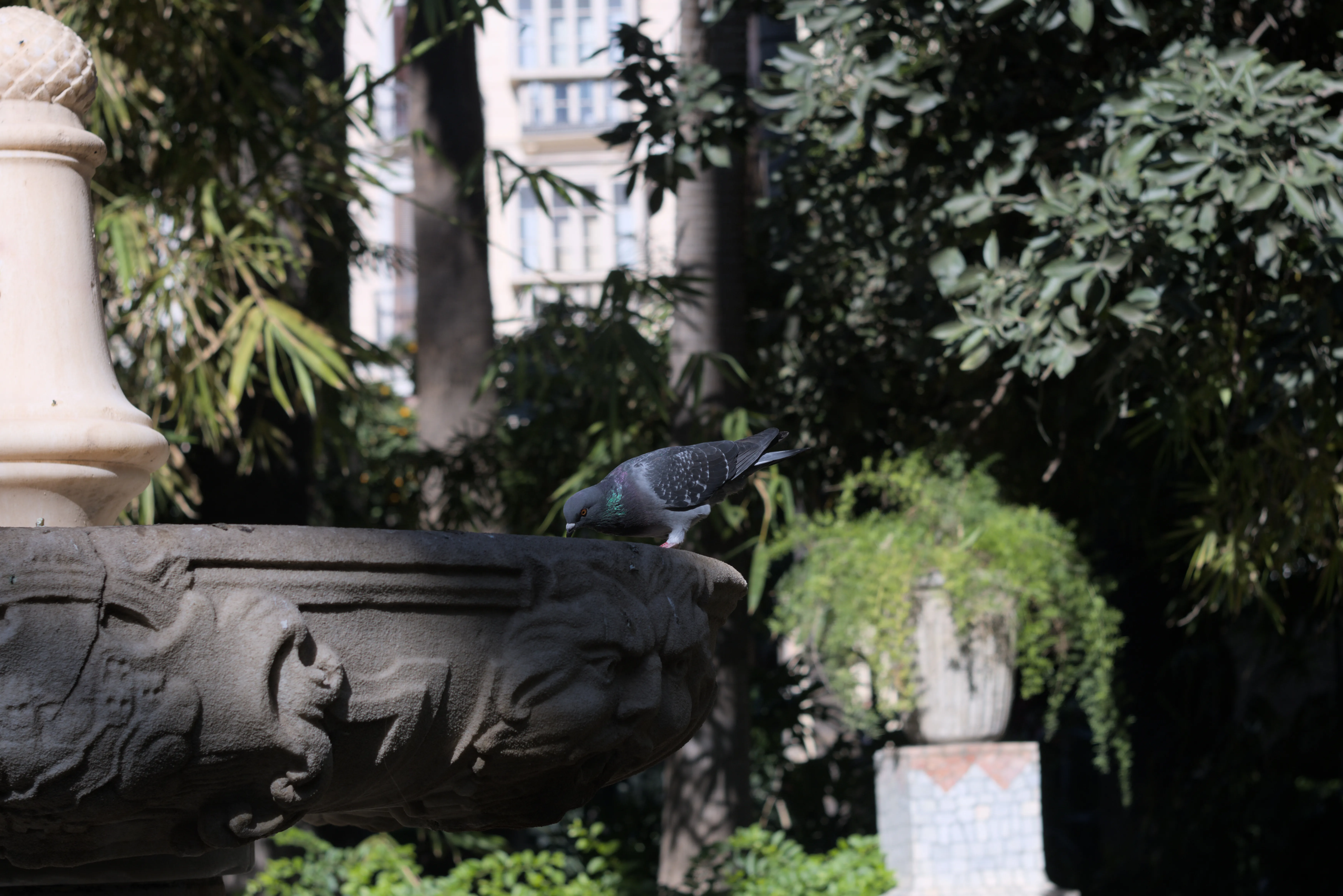 Zenith Helios-77M-4 1,850 (VOMZ) - _I4A6170.webp